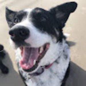 Meet your Posher, Kellie